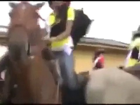 Atın niyeti başka izle gülmek garanti