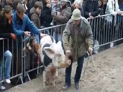 Fête de la Truffe à St Géniès des Mourgues, avec Pépette