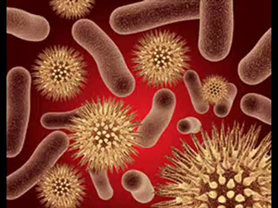 Gentechnik-eine unterschätzte Gefahr!