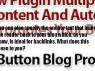WPSyndicator-A Must Plugin For Bloggers?