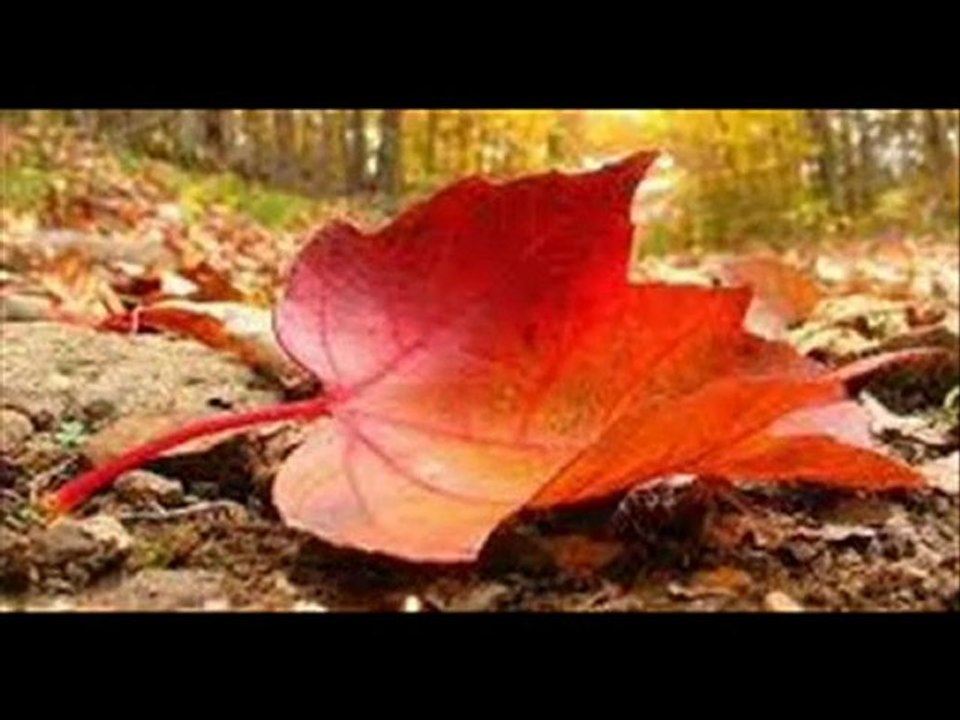 ENES MUTLU - OTUZ BEŞ YAZ