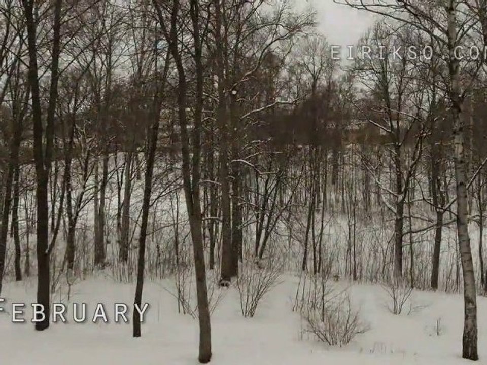 One year in 2 minutes