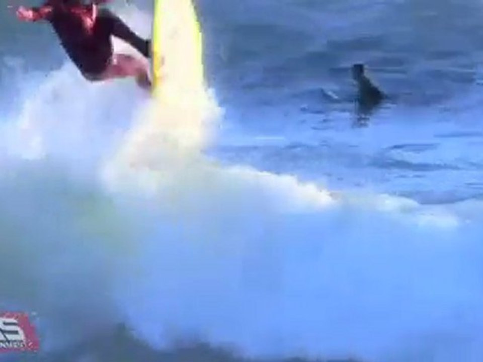 Fresh Fruit For Rotten Vegetables - Surf Film 