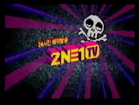 090803 2NE1TV 24hr Pirate Clips