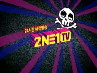 090819 2NE1TV Pirate Clips