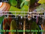Looking for affordable dishwasher?