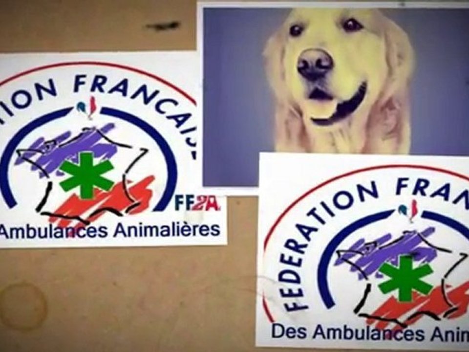 FF2A - Fédération Française des Ambulances Taxi Animalières