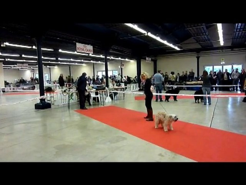 Fee du Pic d'Arrouyette