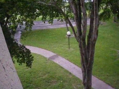 Homes for Sale - 9080 Lime Bay Blvd Apt 302 - Tamarac, FL 33321 - Keyes Company Realtors