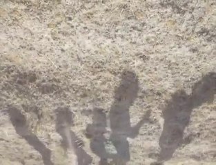 Un projet compagnons en Equateur 2009