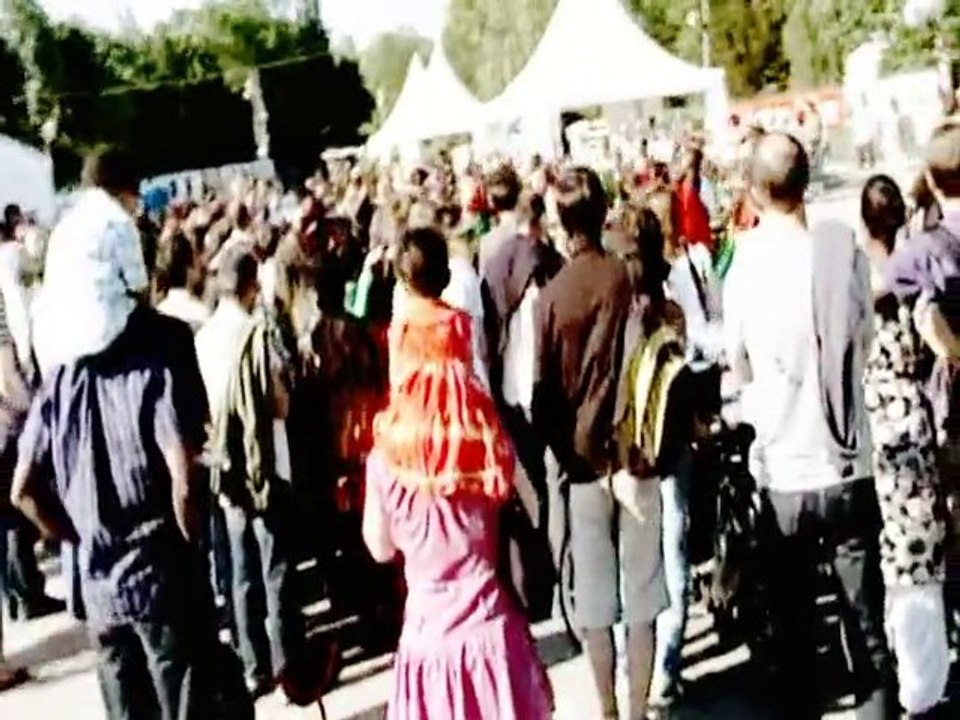 Teaser 35éme Festival Musiques Métisses 2010