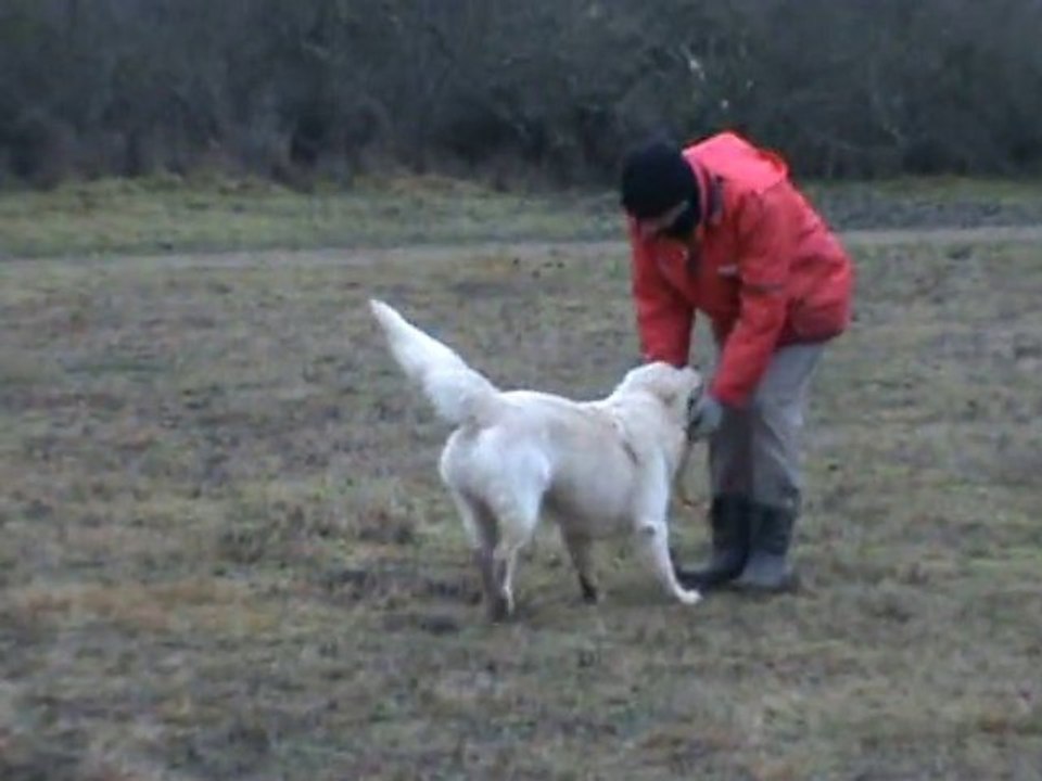 Entrainement