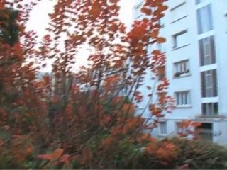 PRIX ARCHITECTURE - ARCHITECTURE PÉLEGRIN