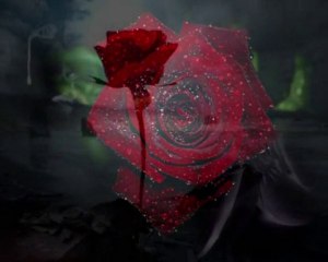 Kıvırcık Ali - Gülüm