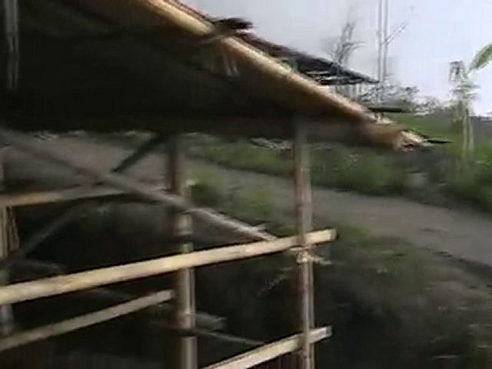 Mutual help in Balerante