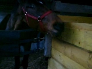 fais connaissance avec quemil