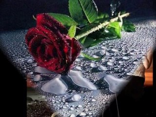 Blutengel - A little love