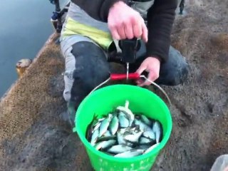 Peche De Gardon A Kunheim (Alsace)
