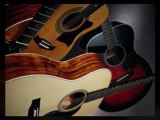 Long Island Acoustic Guitar Authority. Taylor Guitar Specia