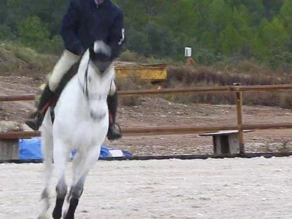 Camacho Z - Nicolas - 11/2010