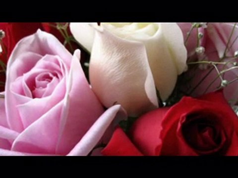 KIVIRCIK ALİ - GÜLÜM - öykü gülen güven