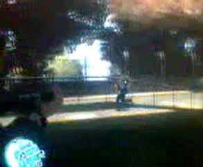 gta4 bug