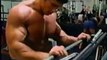 body building - arnold schwarzenegger - biceps training