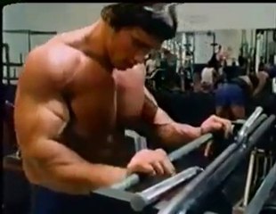 body building - arnold schwarzenegger - biceps training