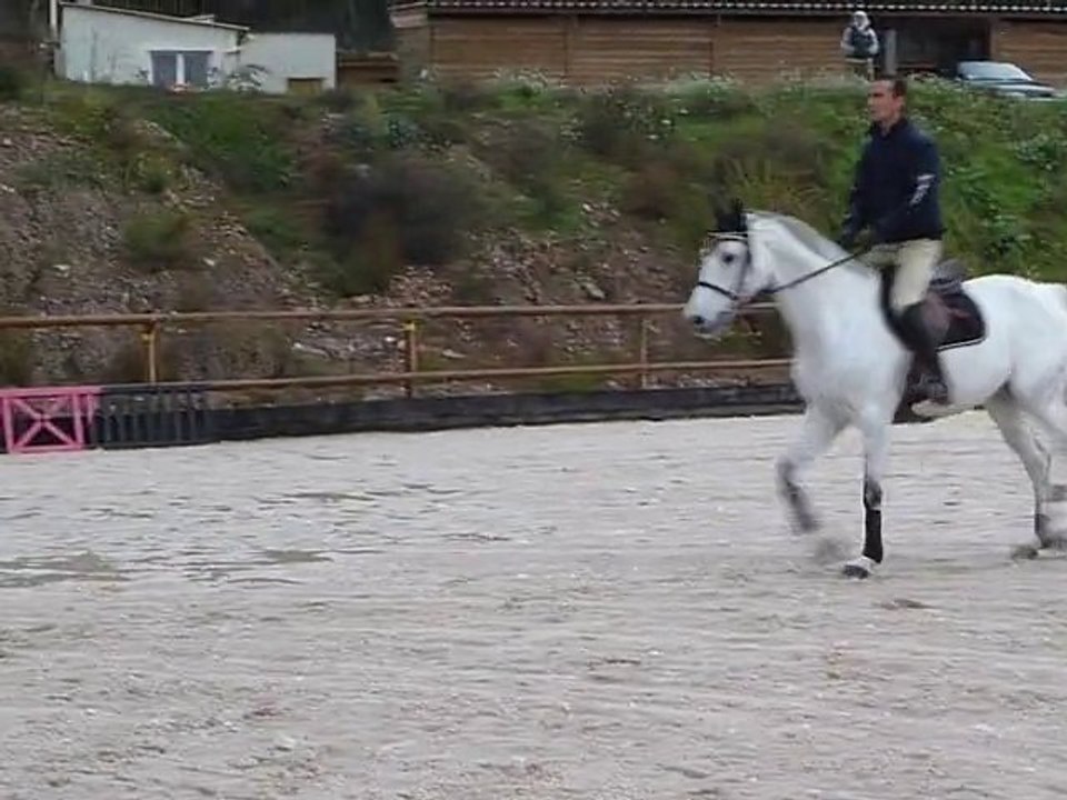 Camacho Z - gymnastique - Nicolas - Novembre 2010