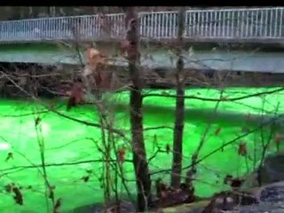 River turns luminous green