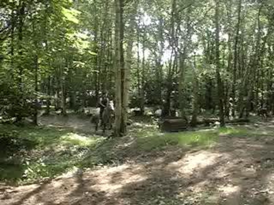 MOV08289