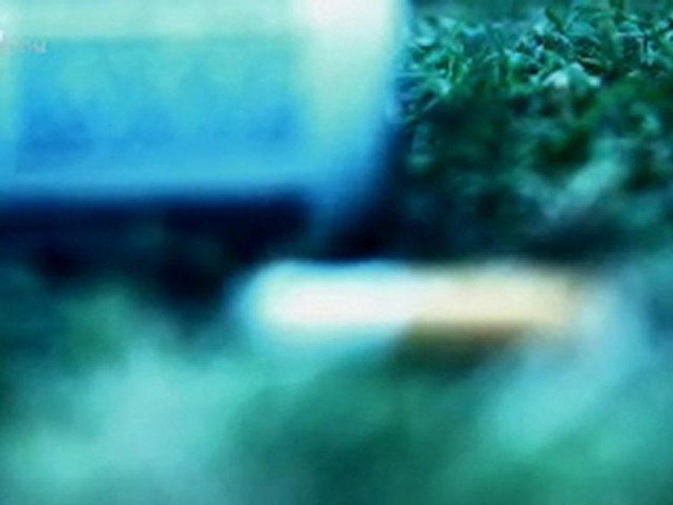 Bryan McKnight: True Confessions of a Pastor - CBN.com