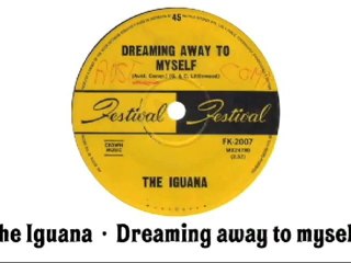 The Iguana - Dreaming away to myself