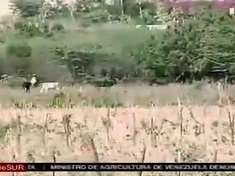 Epidemia de cólera pone en riesgo soberanía alimentaria en Haití