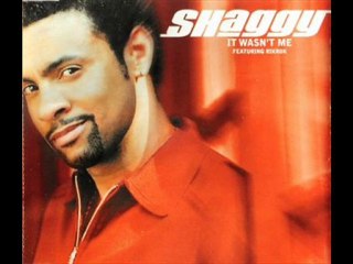 Shaggy - It Wasn't Me