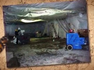 Mold Removal West Palm Beach