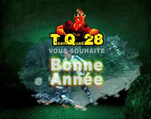 Voeux TQ28 2011