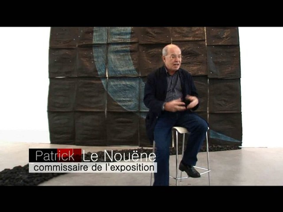 Musée des Beaux Arts d'Angers - Exposition Daniel Tremblay