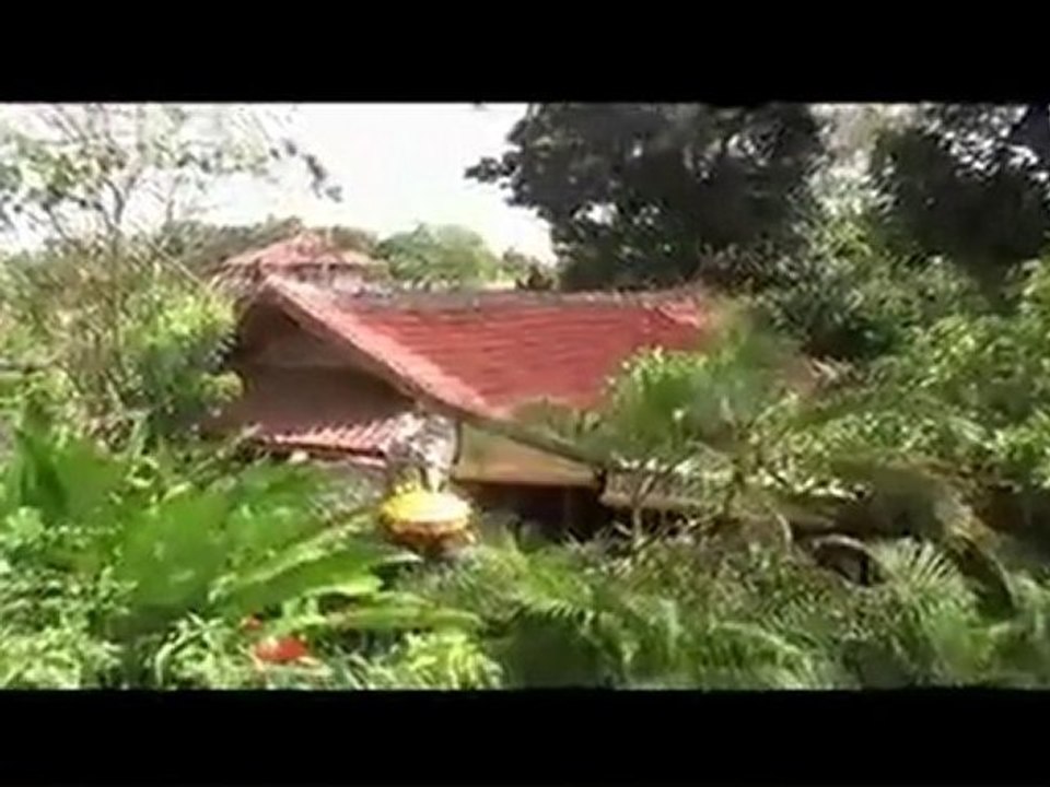Surf Camp Bali