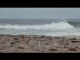 Kepa Acero : Surfeando con 80,000 focas en Namibia