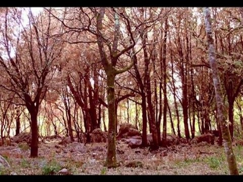 Diaporama de Photos en Corse Vers Propriano, Ajaccio, Olmeto