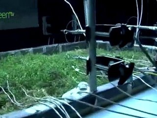 Green Revolution - Green Roofs