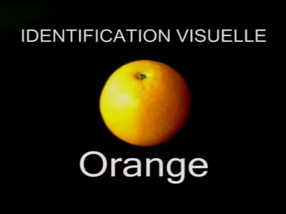 WTC7: "Ceci est une Orange"  (nouvelle version)