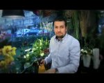 GÜLBEN TRT1 Tanıtım Filmi (Çiçekçi)