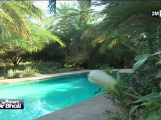 دير بحالي : الأربعاء 12 يناير