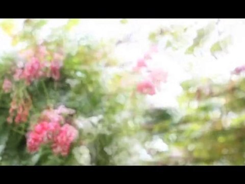 Making of de la séance photo de Kate Moss pour Vogue Eyewear