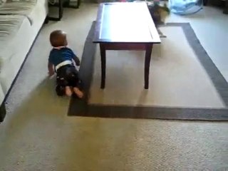 Un bébé qui joue avec un chien