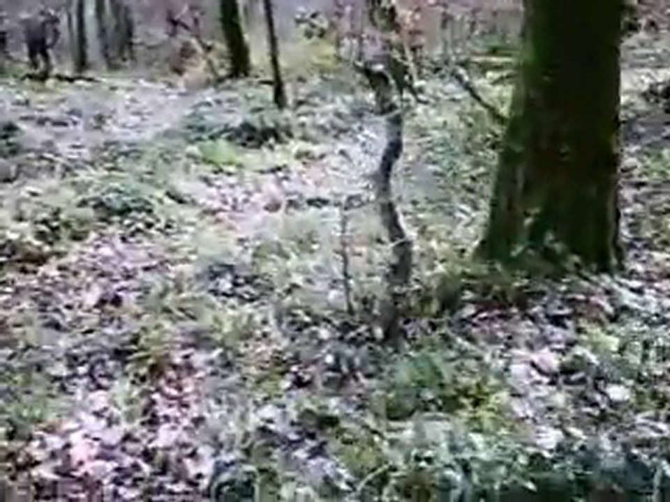descente amange