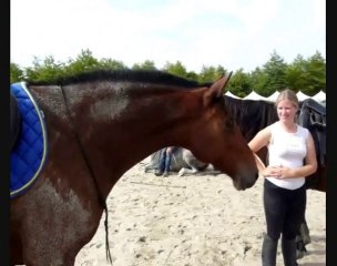 flicka bizarre, la cense