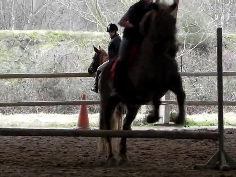 Flo et Rimbaud, Saut